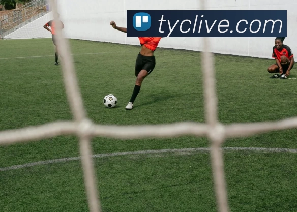 多媒体互动体验